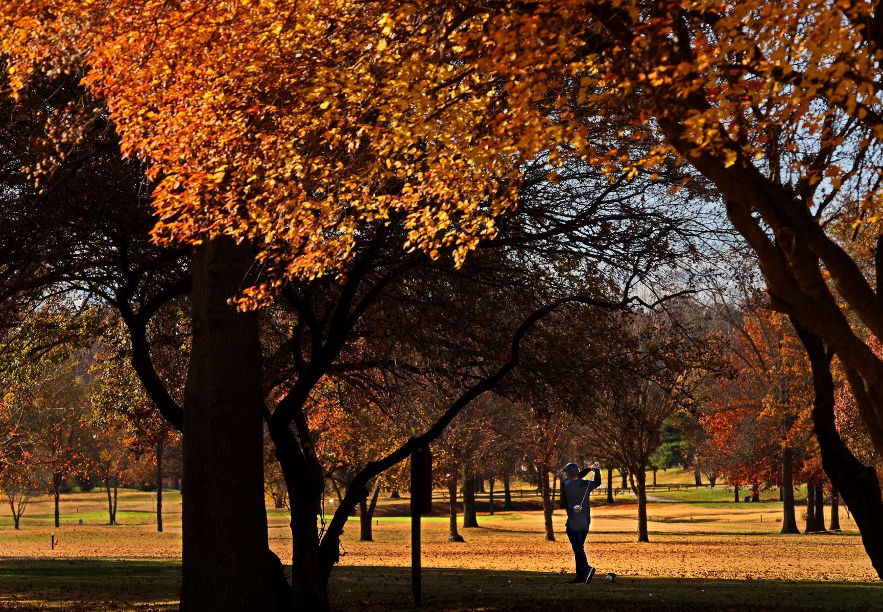 Autumn color along the Meramec